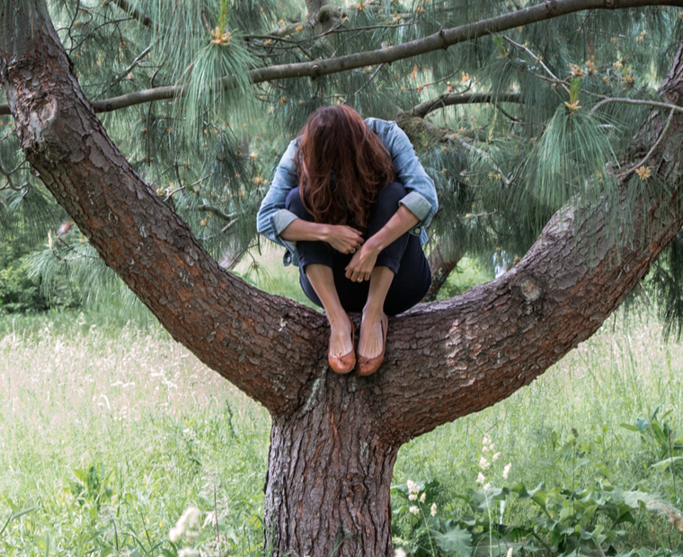 Marie-Pierre PASTINI cachée dans un arbre